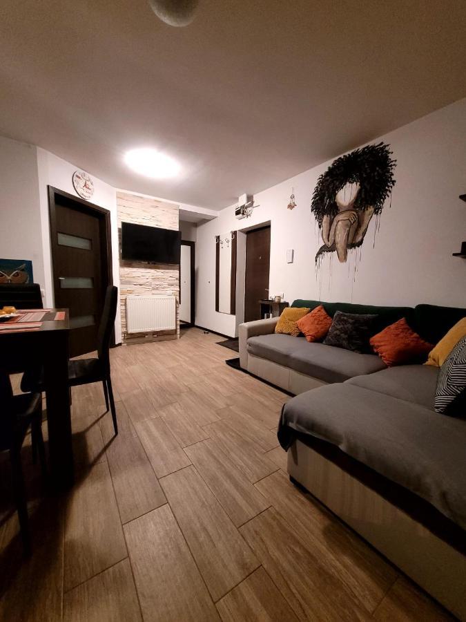 Dds Apartment Brașov Exterior foto